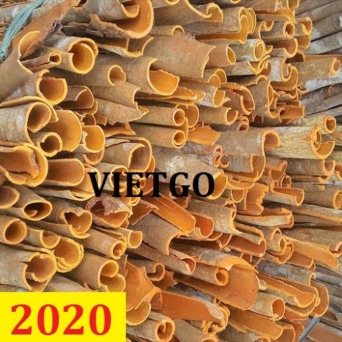 Cơ hội giao thương – Đơn hàng thường xuyên - Cơ hội xuất khẩu quế chẻ sang thị trường Ấn Độ.