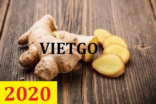 Cơ hội giao thương – Đơn hàng cả năm - Cơ hội xuất khẩu gừng tươi sang thị trường Pakistan.