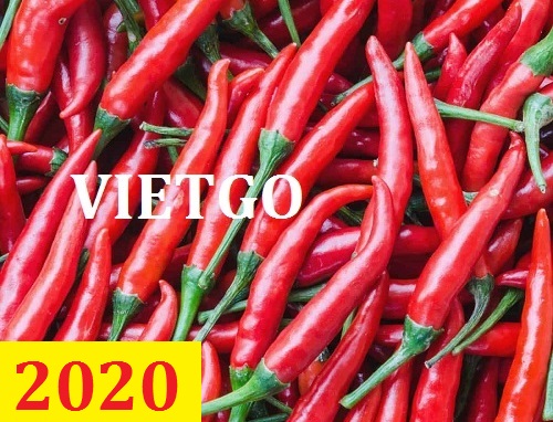 Cơ  hội giao thương – Đơn hàng thường xuyên - Cơ hội xuất khẩu ớt tươi đến thị trường Bangladesh.