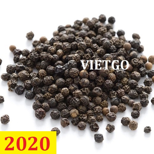 Cơ  hội giao thương – Đơn hàng thường xuyên - Cơ hội xuất khẩu tiêu đen đến thị trường Bangladesh.