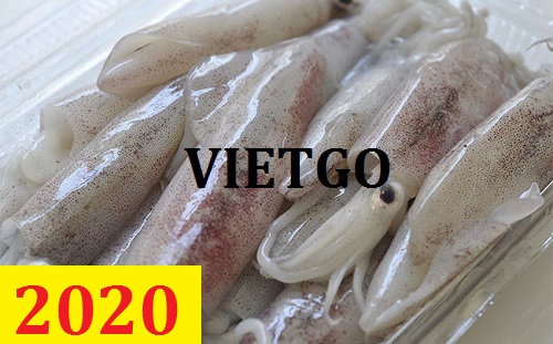 Cơ hội giao thương – Đơn hàng Cả Năm – Cơ hội xuất khẩu Mực sang thị trường Ý đầy tiềm năng