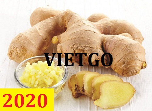 Cơ hội giao thương – Đơn hàng Cả Năm - Cơ hội xuất khẩu Gừng Tươi sang thị trường Bangladesh