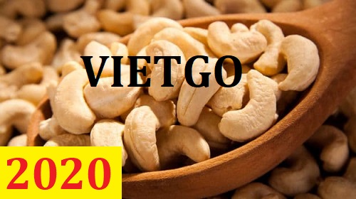 Cơ hội giao thương – Đơn hàng Cả Năm - Cơ hội xuất khẩu Hạt Điều sang thị trường Sri Lanka