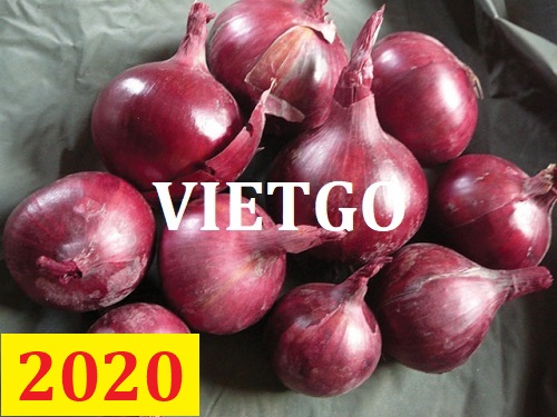 Cơ hội giao thương – Đơn hàng Cả Năm - Cơ hội xuất khẩu Hành Tây sang thị trường Bangladesh
