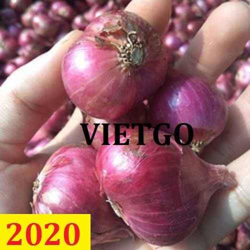 Cơ hội giao thương – Đơn hàng Cả Năm - Cơ hội xuất khẩu Hành Khô sang thị trường Bangladesh
