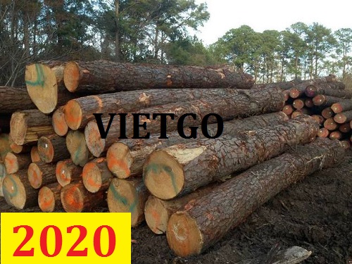 Cơ hội giao thương  – Đơn hàng thường xuyên - Cơ hội xuất khẩu Gỗ thông tròn sang Ấn Độ