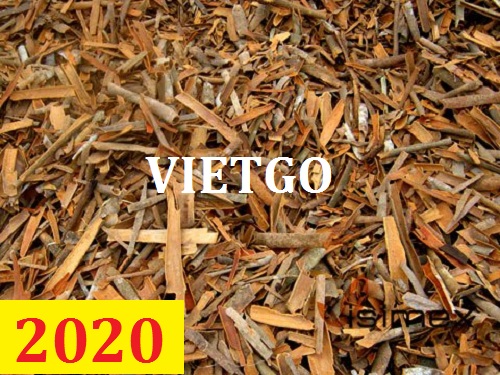 Cơ hội giao thương – Đơn hàng Cả Năm - Cơ hội xuất khẩu Quế Vụn sang thị trường Ấn Độ