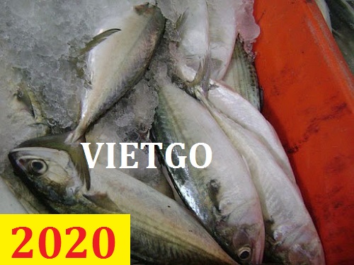 Cơ hội giao thương – Đơn hàng Cả Năm – Cơ hội xuất khẩu Cá ngừ sang thị trường UAE và Ả Rập Saudi