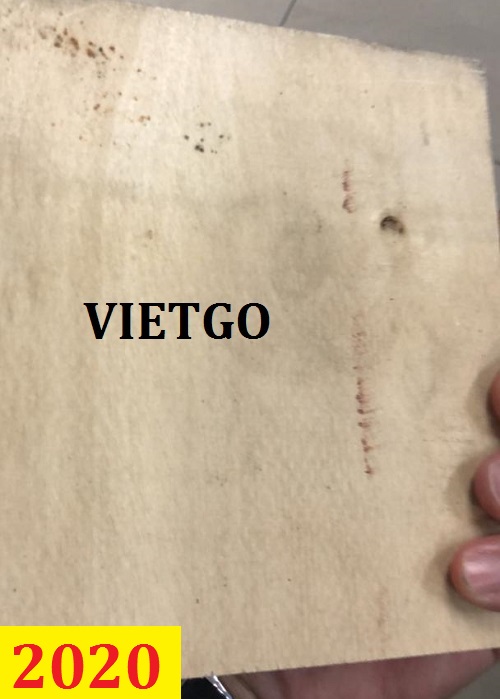 Cơ Hội Giao Thương - Đơn Hàng Thường Xuyên – Cơ Hội Xuất Khẩu Gỗ Dán Phủ Phim Sang Thị Trường Malaysia