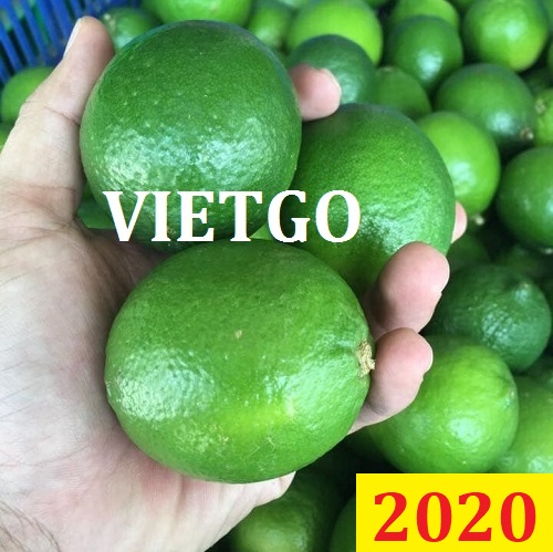 Cơ hội giao thương – Đơn hàng đặc biệt thường xuyên - Cơ hội xuất khẩu chanh xanh sang thị trường Maldives.