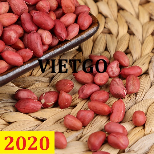 Cơ hội giao thương – Đơn hàng Cả Năm - Cơ hội xuất khẩu Lạc Nhân sang thị trường Trung Quốc