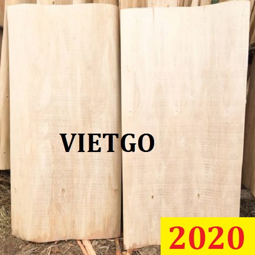 Cơ hội giao thương đặc biệt – Đơn hàng thường xuyên - Cơ hội xuất khẩu ván bóc bạch đàn đến từ vị khách hàng VIP của VIETGO