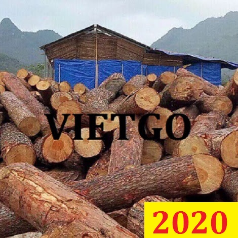 Cơ Hội Giao Thương Đặc biệt - Đơn Hàng Thường Xuyên – Cơ Hội Xuất Khẩu 2 Container 20ft Gỗ Thông Tròn Sang Thị Trường Ấn Độ