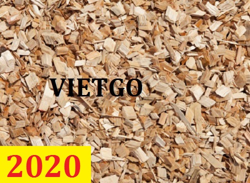 Cơ hội giao thương – Đơn hàng thường xuyên - Cơ hội xuất khẩu Gỗ bạch đàn vụn sang thị trường Ấn Độ