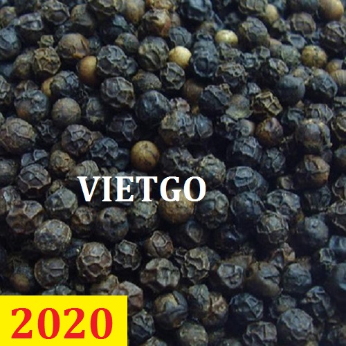 Cơ hội giao thương – Đơn hàng thường xuyên - Cơ hội xuất khẩu hạt tiêu hằng tháng đến từ vị khách hàng người Senegal.