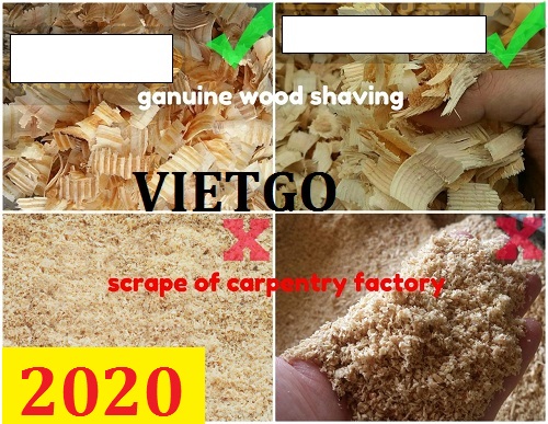 Cơ Hội Giao Thương - Đơn Hàng Thường Xuyên – Cơ Hội Xuất Khẩu Dăm Bào Gỗ Thông Sang Tiểu Vương Quốc Ả-rập Thống Nhất