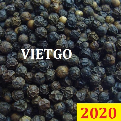 Cơ hội giao thương – Đơn hàng đặc biệt thường xuyên – Thương nhân người Ấn Độ cần nhập khẩu tiêu đen từ thị trường Việt Nam.