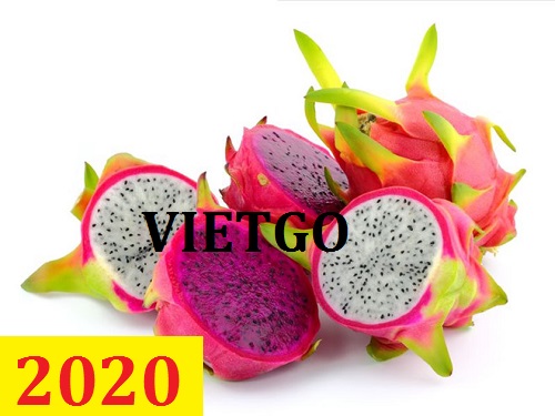 Cơ hội giao thương – Đơn hàng Cả Năm - Cơ hội xuất khẩu Thanh Long sang thị trường Bangladesh