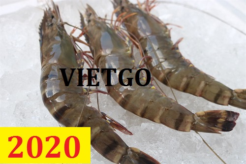 Cơ hội giao thương – Đơn hàng thường xuyên – Cơ hội xuất khẩu Tôm Sú sang thị trường Qatar và Ai Cập đầy tiềm năng