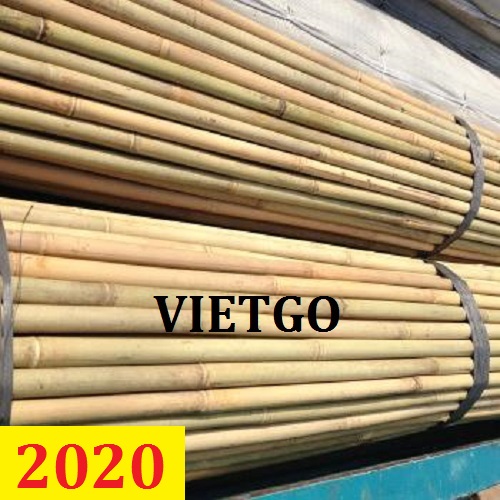 Cơ hội giao thương – Đơn hàng thường xuyên – Cơ hội xuất khẩu GẬY TRE sang thị trường Tây Ban Nha đầy tiềm năng