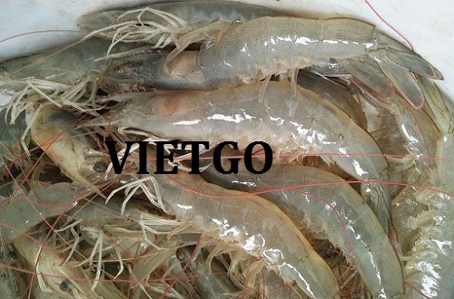 Cơ hội giao thương Đặc Biệt – Cơ hội xuất khẩu TÔM THẺ CHÂN TRẮNG sang thị trường Trung Quốc đầy tiềm năng