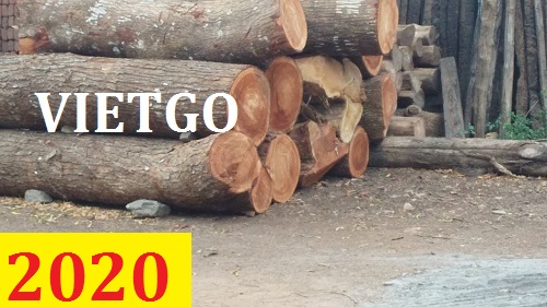 Cơ hội giao thương – Đơn hàng thường xuyên - Cơ hội xuất khẩu Gỗ teak tròn đến từ vị khách hàng người Ấn Độ