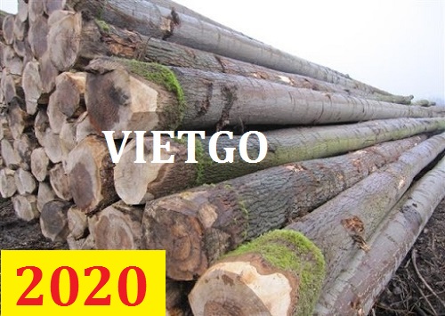 Cơ hội giao thương – Đơn hàng thường xuyên - Cơ hội xuất khẩu gỗ keo tròn sang Malaysia
