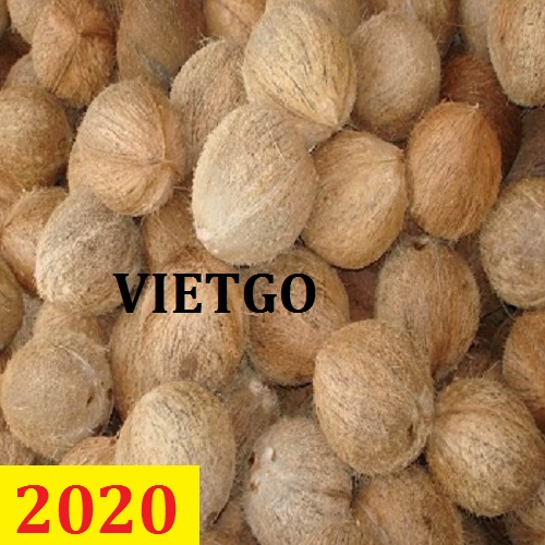 Cơ hội giao thương – Đơn hàng Cả Năm - Cơ hội xuất khẩu Quả Dừa sang thị trường Bangladesh – MS.
