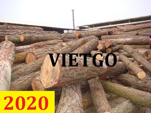 Cơ hội giao thương  – Đơn hàng thường xuyên - Cơ hội xuất khẩu Gỗ thông tròn đến từ vị khách hàng người Ấn Độ