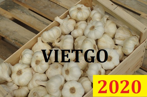 Cơ hội giao thương Đặc biệt – Đơn hàng Cả Năm - Cơ hội xuất khẩu Tỏi Trắng sang thị trường Sri Lanka