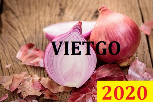 Cơ hội giao thương – Đơn hàng Cả Năm - Cơ hội xuất khẩu Hành Tây sang thị trường Sri Lanka
