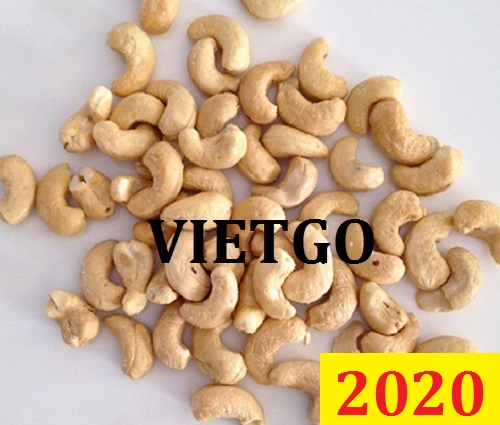Cơ hội giao thương Đặc Biệt – Đơn hàng thường xuyên – Cơ hội xuất khẩu Hạt Điều Rang đến từ vị khách hàng người Ấn Độ