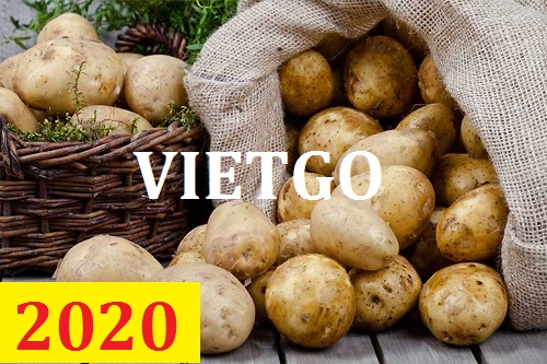 Cơ hội giao thương – Đơn hàng Cả Năm - Cơ hội xuất khẩu Khoai Tây sang thị trường Philippines