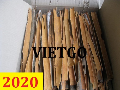 MS - Cơ hội giao thương – Đơn hàng Thường Xuyên - Cơ hội xuất khẩu Quế Chẻ sang thị trường Ấn Độ.