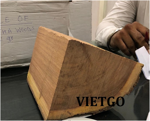 Cơ Hội Giao Thương - Cơ Hội Xuất Khẩu 1,000 Tấn Gỗ Keo Cao Catechu Tròn Sang Thị Trường Ấn Độ