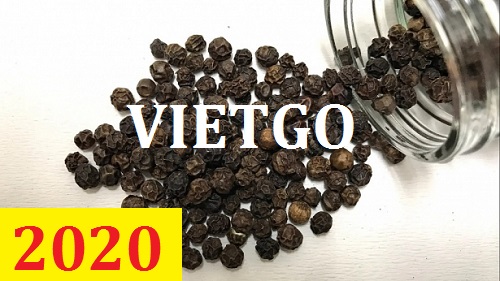 Cơ hội giao thương – Đơn hàng Cả Năm - Cơ hội xuất khẩu Hạt Tiêu Đen sang thị trường Afghanistan