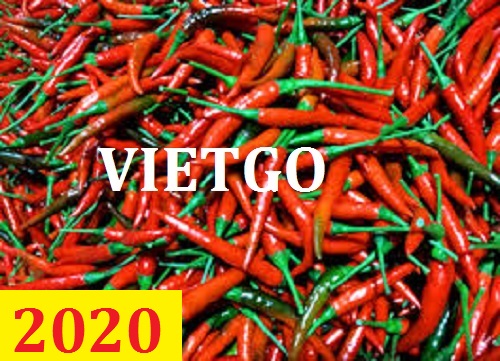 Cơ hội giao thương – Đơn hàng thường xuyên – Cơ hội xuất khẩu 2 container 20ft Quả Ớt sang thị trường Dubai.