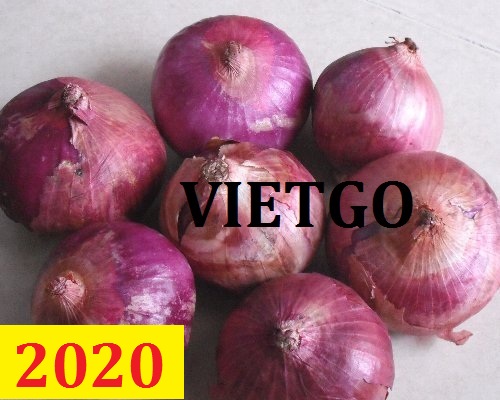 Cơ hội giao thương – Đơn hàng thường xuyên – Cơ hội xuất khẩu 2 container 20ft Hành Tím sang thị trường Dubai.