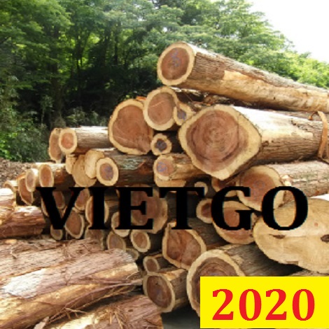 Cơ Hội Giao Thương Đặc biệt - Đơn Hàng Thường Xuyên – Cơ Hội Xuất Khẩu Gỗ Teak Tròn Sang Thị Trường BANGLADESH.