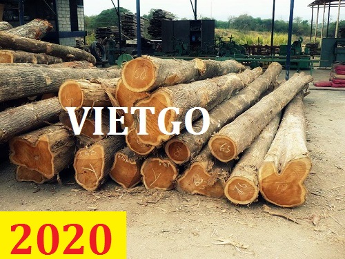 Cơ hội giao thương – Đơn hàng thường xuyên - Cơ hội xuất khẩu Gỗ teak tròn sang Ấn Độ