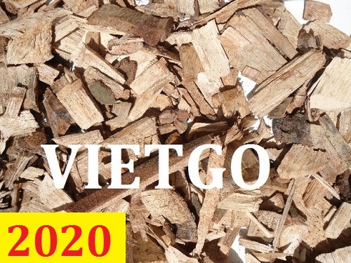 Cơ hội giao thương – Đơn hàng thường xuyên - Cơ hội xuất khẩu Gỗ keo vụn sang thị trường Nhật Bản