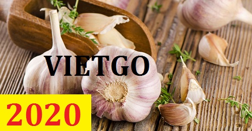 Cơ hội giao thương – Đơn hàng Cả Năm - Cơ hội xuất khẩu Tỏi Trắng sang thị trường Dubai