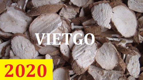 Cơ hội giao thương – Đơn hàng Cả Năm - Cơ hội xuất khẩu Sắn Lát sang thị trường Thái Lan