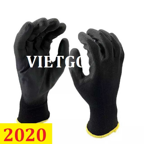 Cơ hội giao thương -  Đơn hàng thường xuyên - Cơ hội xuất khẩu sản phẩm găng tay từ Hà Lan.