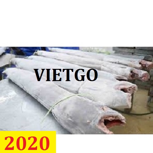 Cơ hội giao thương – Đơn Hàng Cả Năm – Cơ hội xuất khẩu Cá cánh buồm sang thị trường Sri Lanka vô cùng tiềm năng