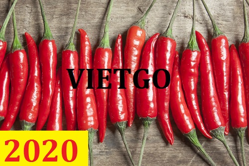 Cơ hội giao thương – Đơn hàng Cả Năm - Cơ hội xuất khẩu Ớt sang thị trường Châu Phi