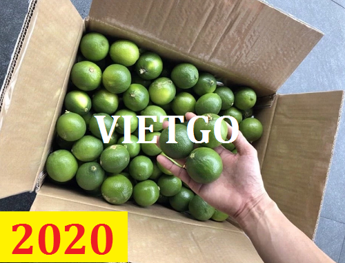 (MS) Cơ hội giao thương – Đơn hàng Cả Năm - Cơ hội xuất khẩu Chanh Xanh sang thị trường Maldives