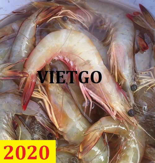 Cơ hội giao thương – Đơn hàng Cả Năm – Cơ hội xuất khẩu Tôm sang thị trường Ấn Độ