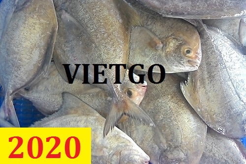 Cơ hội giao thương – Đơn hàng cả năm – Cơ hội xuất khẩu Cá chim cho vị khách hàng người Ấn Độ