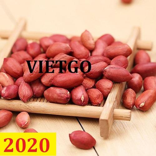 Cơ hội giao thương – Đơn hàng Cả Năm - Cơ hội xuất khẩu Lạc Nhân sang thị trường Indonesia